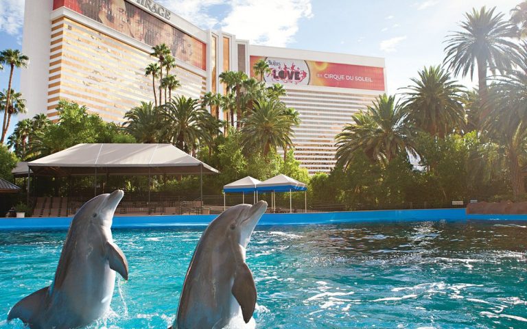 Hotels and Resorts with Lazy River in Las Vegas 3